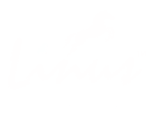 Linus Locks